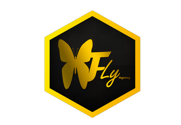 Fly Agency CG